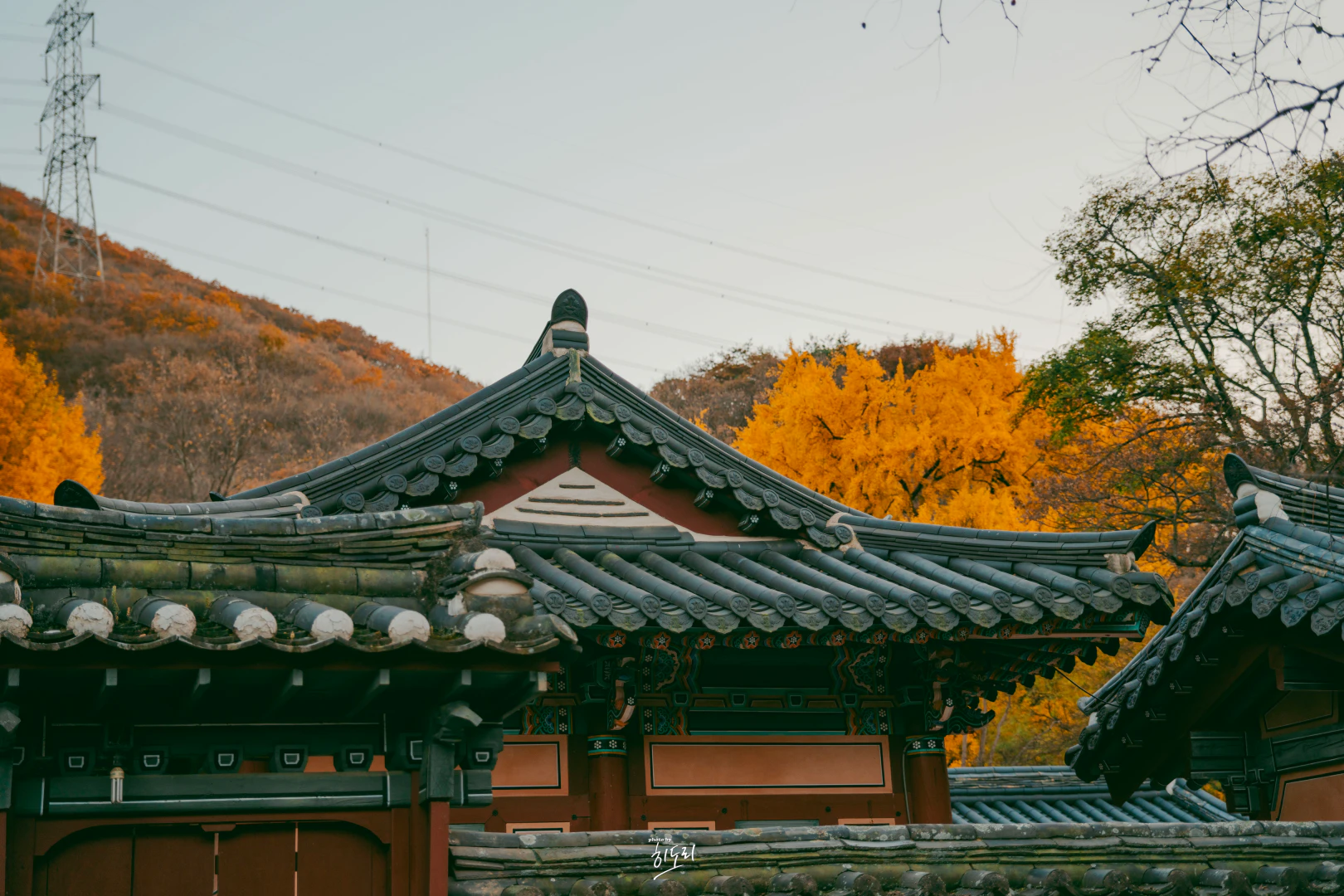 경주 운곡서원 은행나무, 지금이 딱 절정! 가을 단풍·주차·가는 법 정리 HWI00128 복사