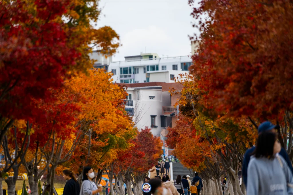 울산 태화강 국가정원 가을 여행