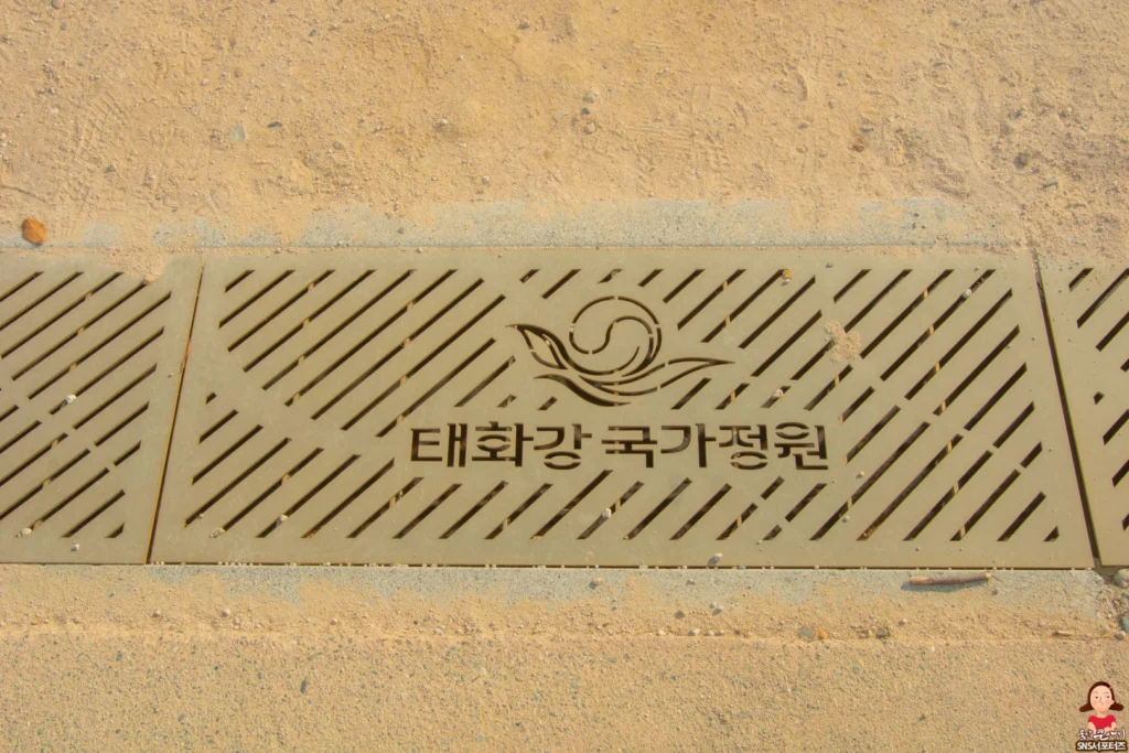 가을엔 역시 국화! 태화강국가정원