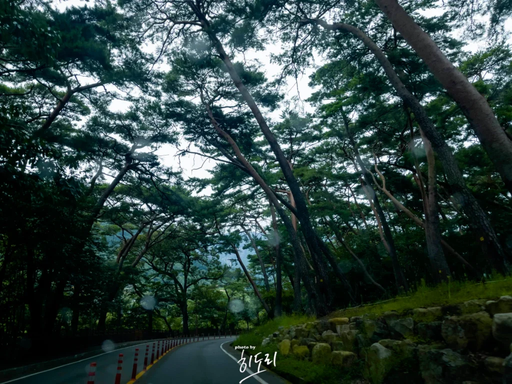 밀양 가을여행! 사계절이 아름다운 ‘표충사’