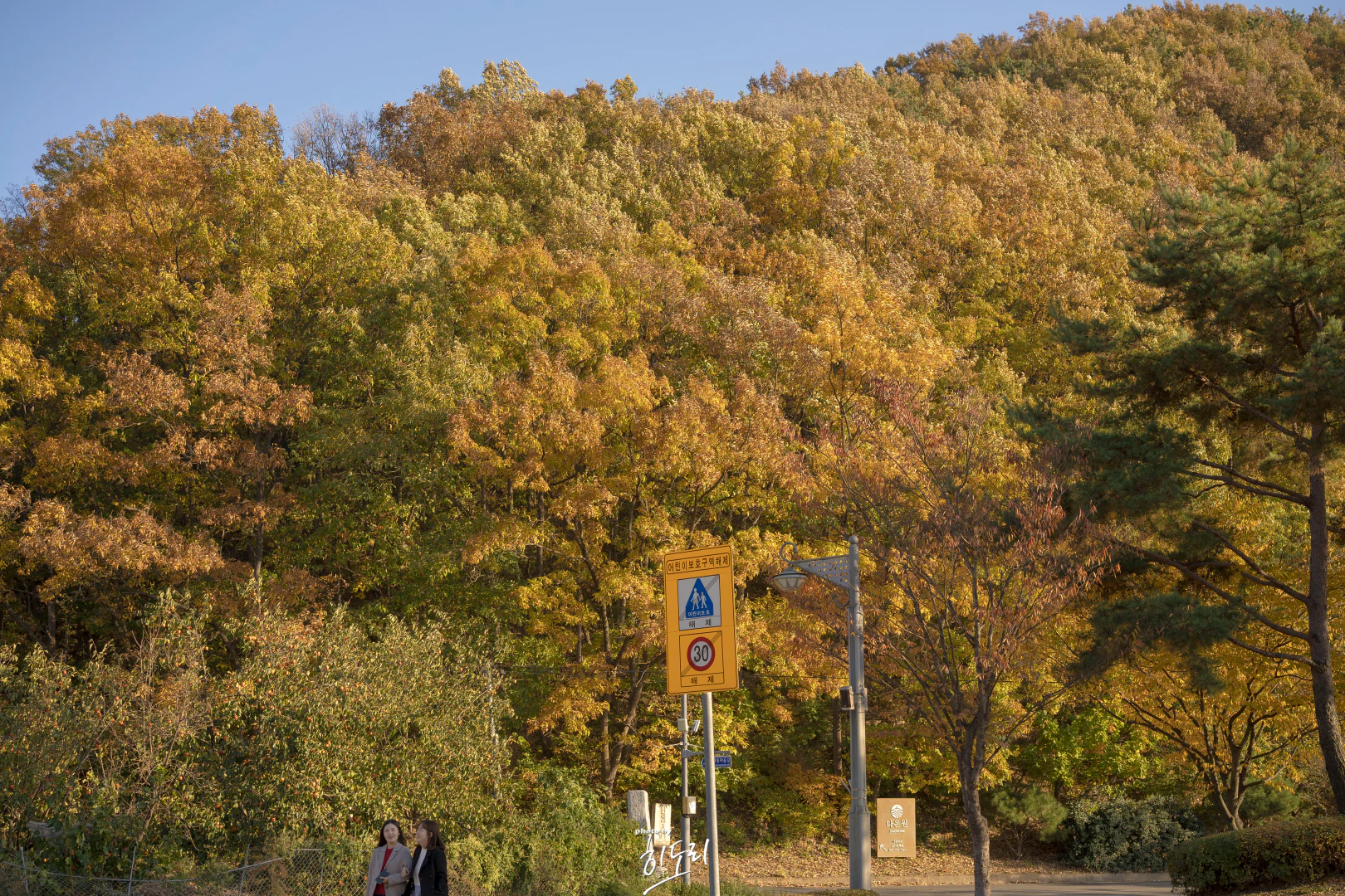 “지금이 절정!” 경주 양동마을 가을여행 후기 제목 없음_22