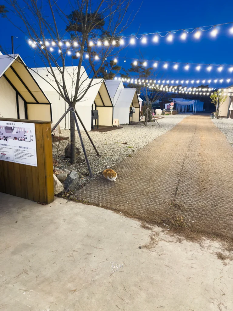 A Cozy Campnic BBQ Night in Gyeongju: Haepeogup Day Near Kensington Resort