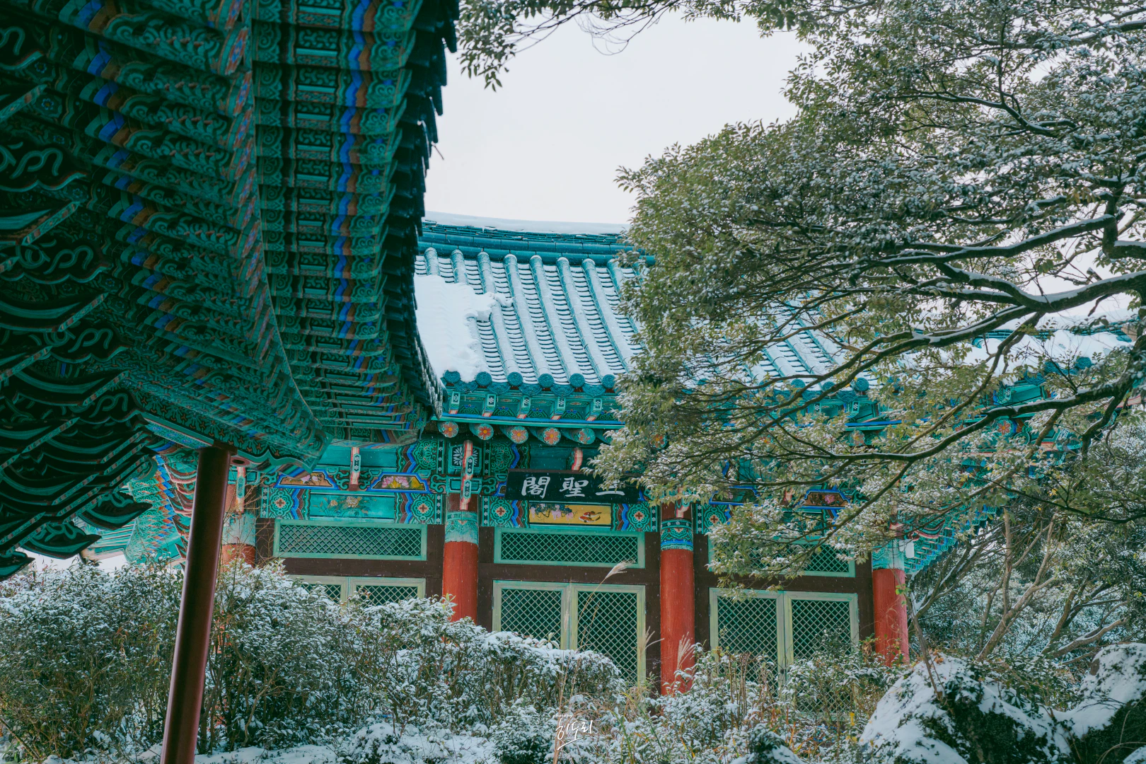 A Quiet Start to My Jeju Winter Trip HWI00038 복사