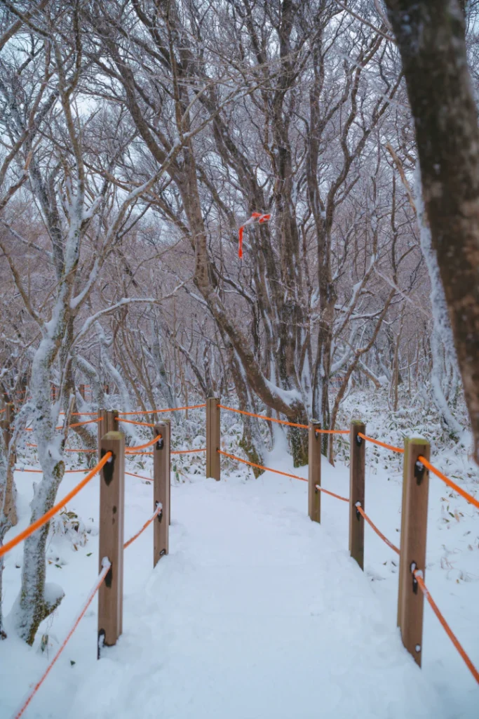 Easy Winter Hiking on Hallasan