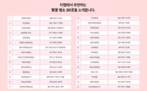 티맵 추천 전국 벚꽃명소 30선 🌸 2026 봄 벚꽃 여행 완벽 정리!