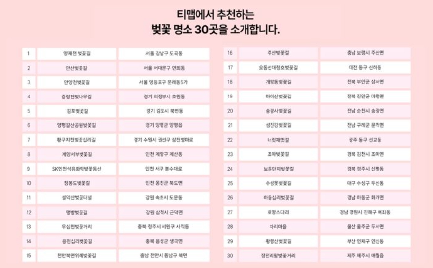 티맵 추천 전국 벚꽃명소 30선 🌸 2026 봄 벚꽃 여행 완벽 정리!