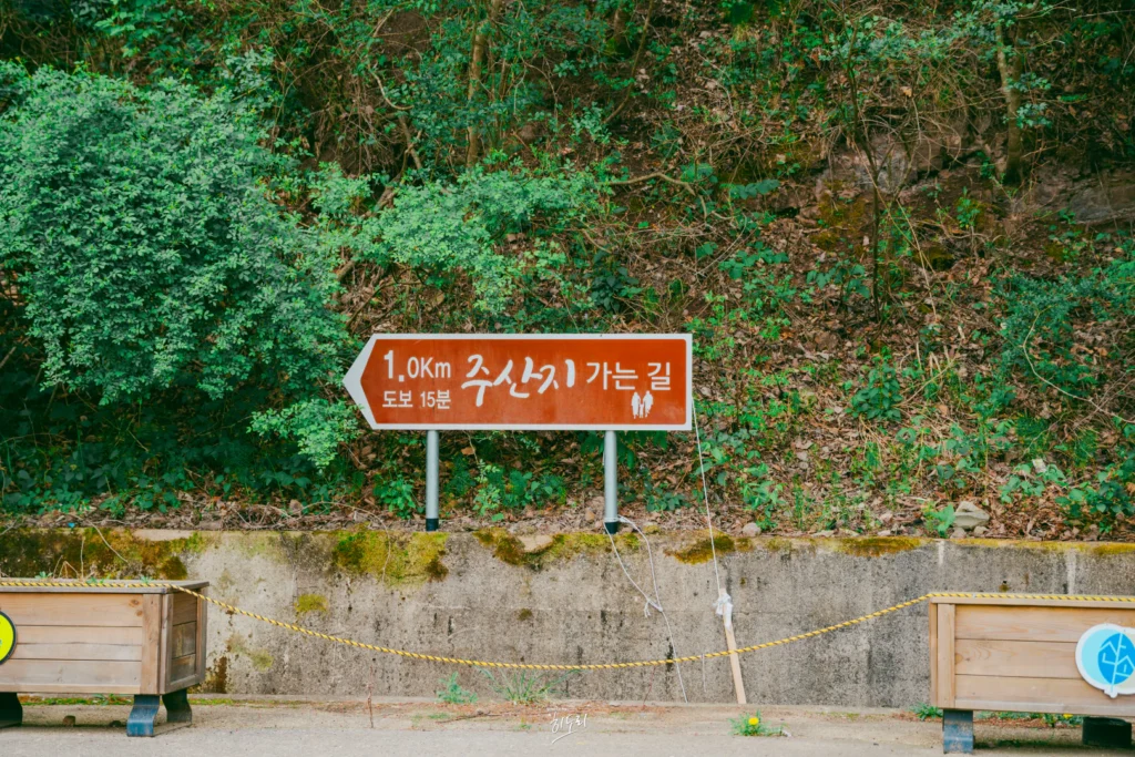 청송 가볼만한곳 주산지 | 왕복 30분 짧고 알찬 아침 코스