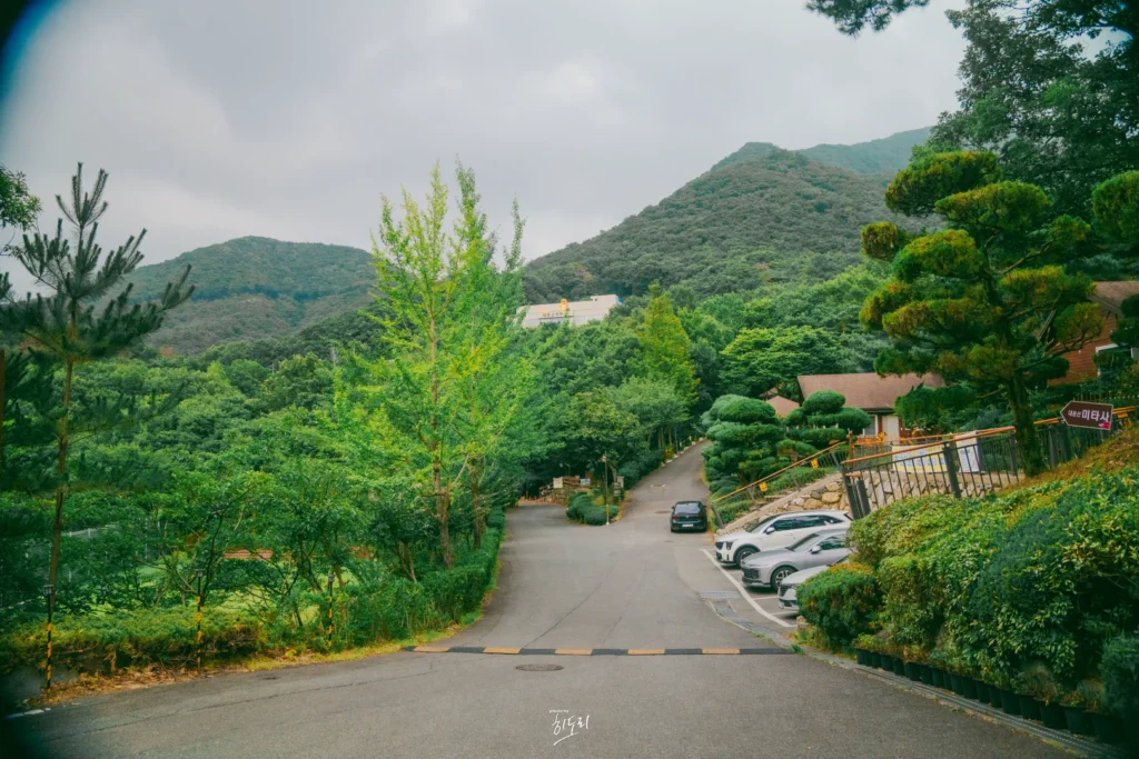 양산 가볼만한곳 대운산 자연휴양림 | 목련방 솔직 후기