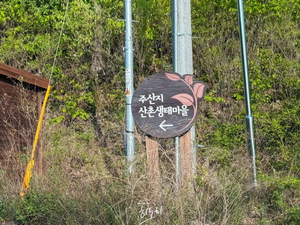 경북 청송 펜션 추천 | 주왕산 주산지 숲속 독채숙소 솔직 후기