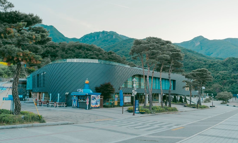 영남알프스 별빛 야외상영회, 올해 마지막 상영 놓치지 마세요