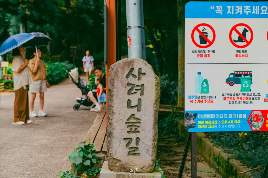 제주 조천 가볼만한곳 - 사려니숲길