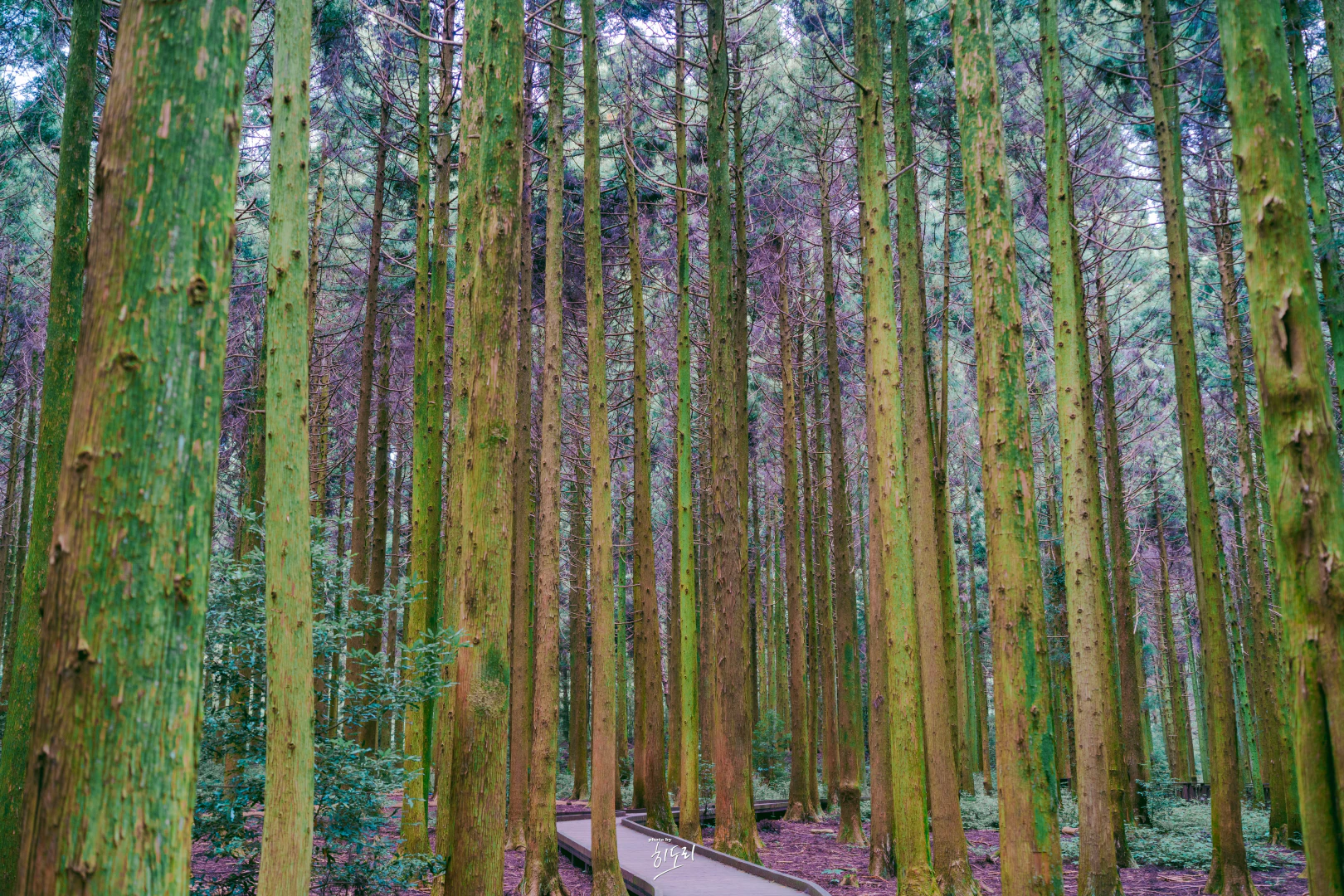 HWI00028 복사