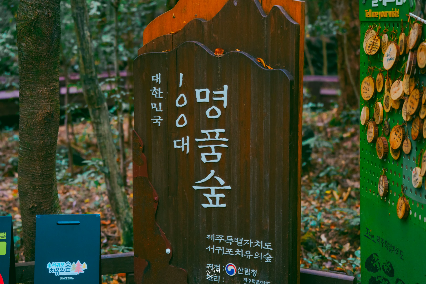 대한민국 100대 명품숲, 서귀포 치유의숲 대한민국 100대 명품숲, 서귀포 치유의숲