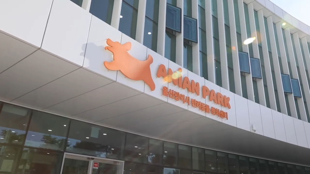울산반려동물문화센터 체험교육, 가족 단위 주말 참여 가능 울산반려동물문화센터 체험교육, 가족 단위 주말 참여 가능
