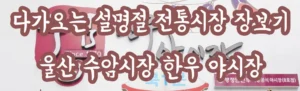 다가오는 설명절 전통시장 장보기 울산 수암시장 한우 야시장