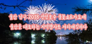 울산 남구 2018 선암호수 불꽃쇼&가요제 울산을 대표하는 지역행사로 자리매김하다