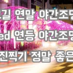 울산 남구 왕생이길 연말 야간조명 사랑의 불빛 LED 연등 운영 그냥 걷고싶은 길 123.webp