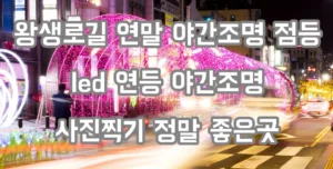 울산 남구 왕생이길 연말 야간조명 사랑의 불빛 LED 연등 운영 그냥 걷고싶은 길