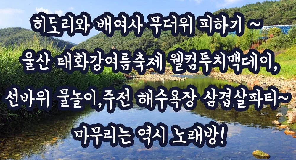 123.webp