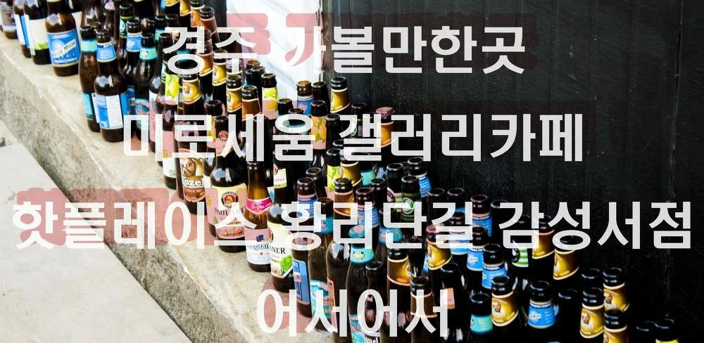 배여사 베스트친구들과 경추 추억여행 3부 - 미로세움 거울미로 갤러리 카페, 핫플레이스 황리단길 감성서점 어서어서 3.webp