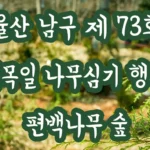 울산 남구 73회 식목일 나무심기 울산대공원 박물관 숲속의공원