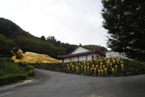 청도 운문사 은행나무 특별개방 2026｜10월 29~31일 단 3일, 수령 500년 황금 은행나무와 북대암까지