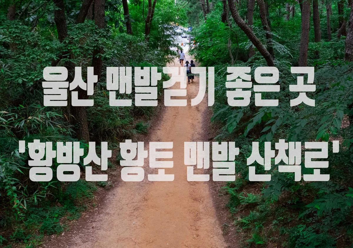 DJI_0196.webp