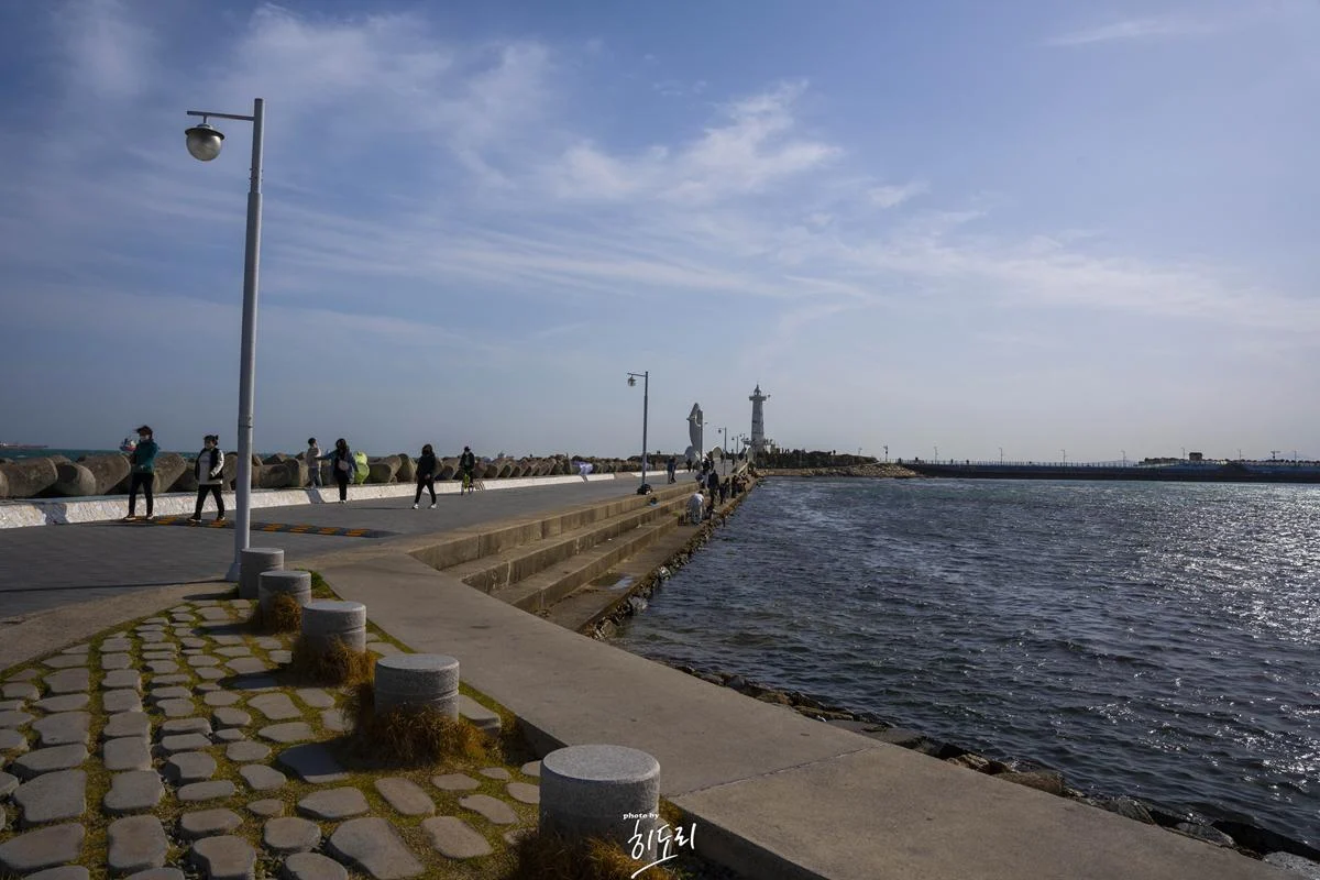 울산 3월 여행 추천 – 슬도 유채꽃밭! 사진찍기 좋은곳