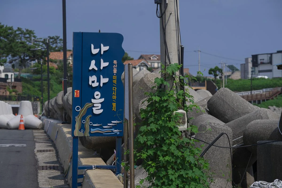 울산 해수욕장 추천 – ‘나사해수욕장’ 작지만 매력적이고 아이들과 놀기 좋은 바다