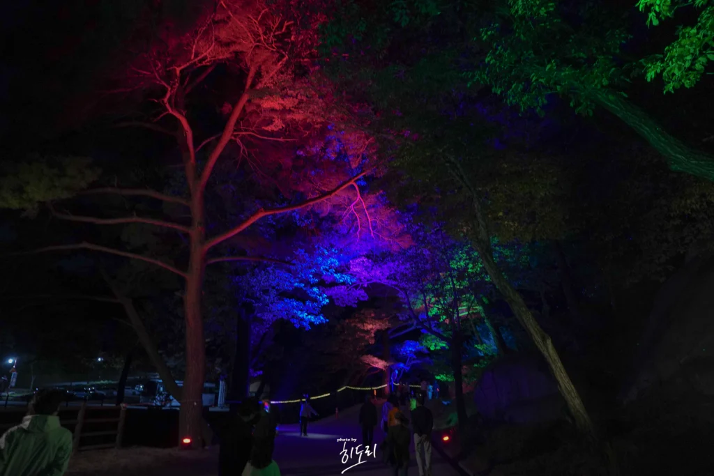 양산 통도사 미디어아트7