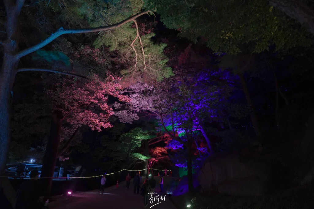양산 통도사 미디어아트8