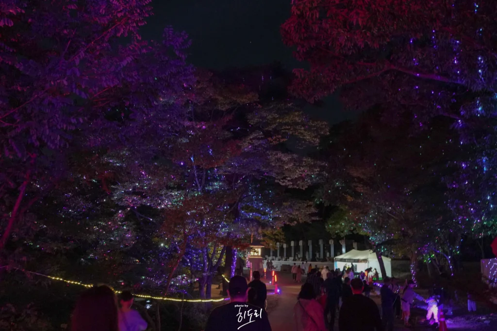 양산 통도사 미디어아트11
