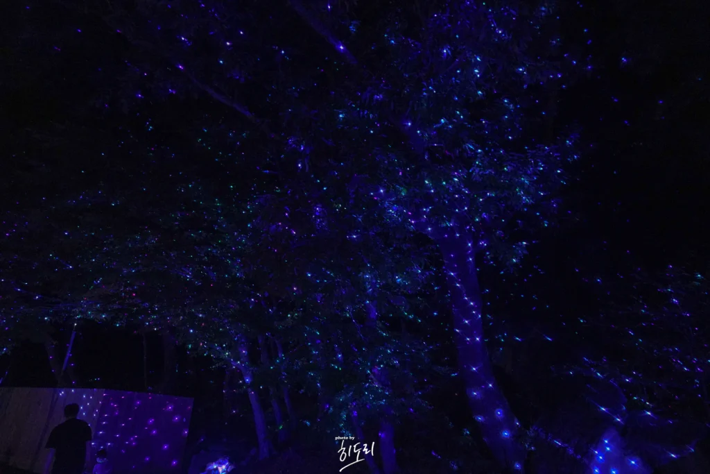 양산 통도사 미디어아트12