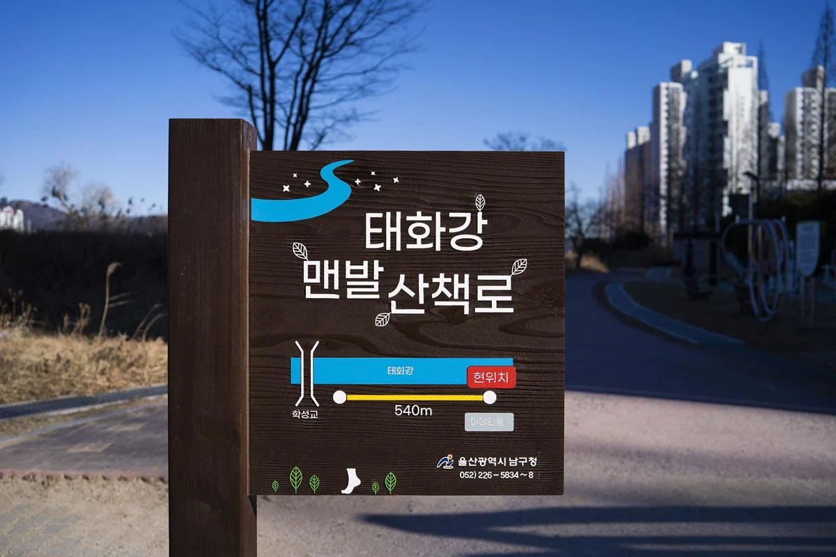 맨발산책로의 장점은 무엇일까요? 맨발산책로의 장점은 무엇일까요?