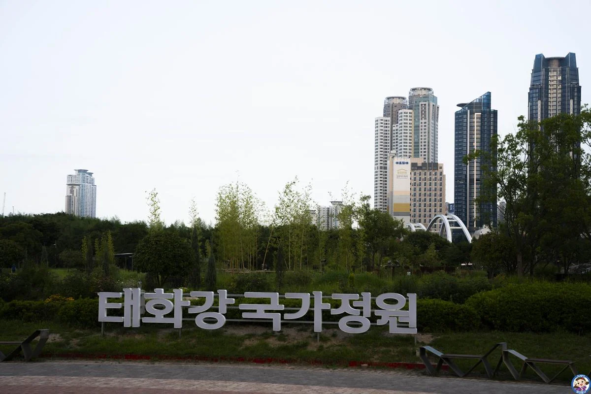DSC00015-복사.webp