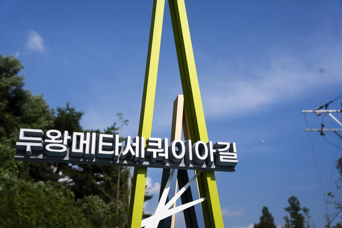 울산 명품 산책로 두왕 메타세쿼이아길! 사진찍기 좋은곳! 산책하기 좋은곳!