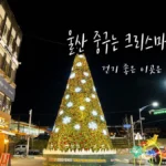 울산 겨울에 가볼만한곳! 데이트하기 좋은곳! 성남동 문화의거리 크리스마스 빛으로 물들다! DSC00026-복사.webp