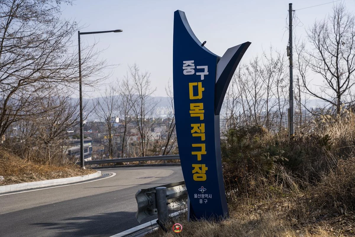 체육대회, 지역행사 등 다용도로 이용을 할 수 있는 ‘중구 다목적구장’