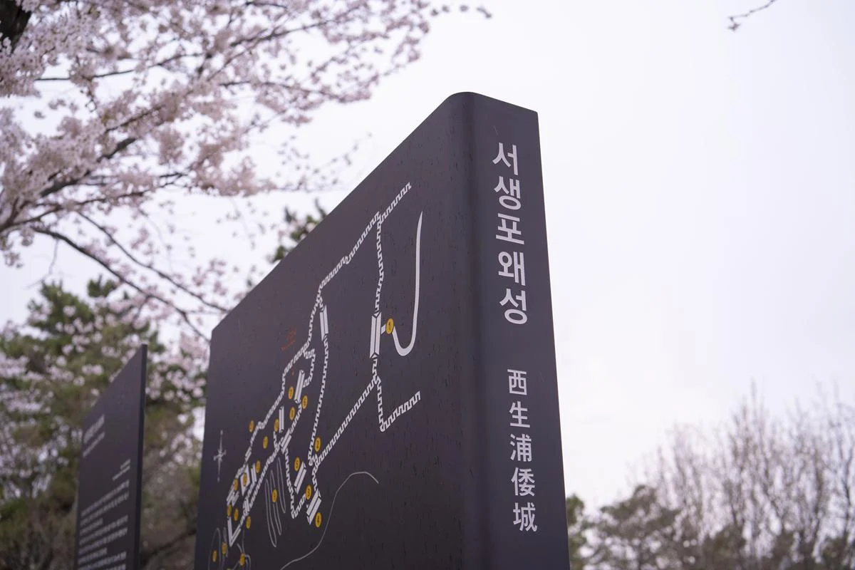 알려지지 않아 더 좋은 울산 벚꽃 명소 ‘서생포 왜성’