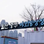 울산에 야외 아이스링크장이? 울산 중구 야외빙상장 입장권,이용시간,위치,운영기간 DSC00038-복사.webp