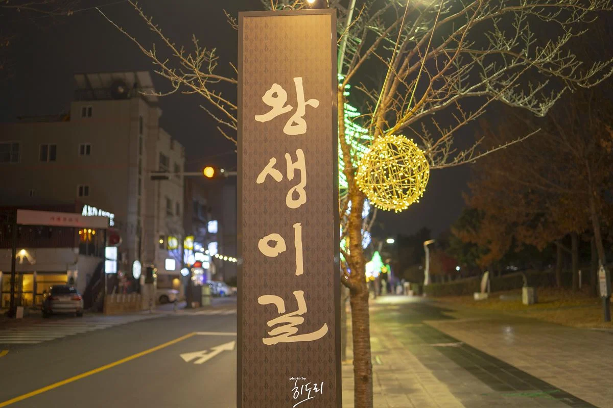 DSC00043-복사.webp