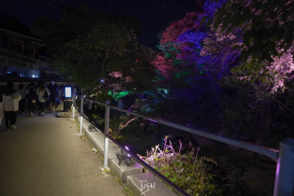 양산 통도사 미디어아트14