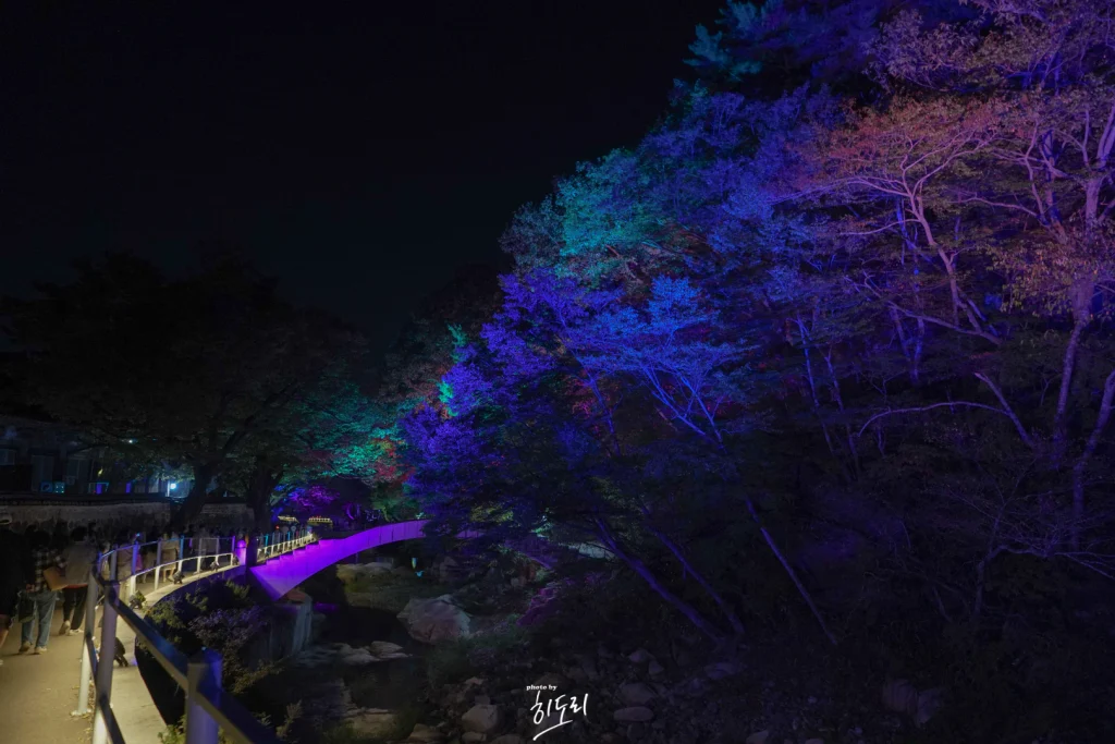 양산 통도사 미디어아트15