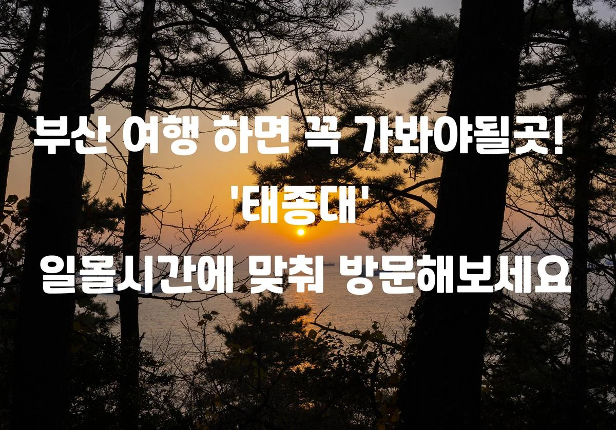 부산 여행 하면 꼭 가봐야될곳! ‘태종대’ 일몰시간에 맞춰 방문해보세요