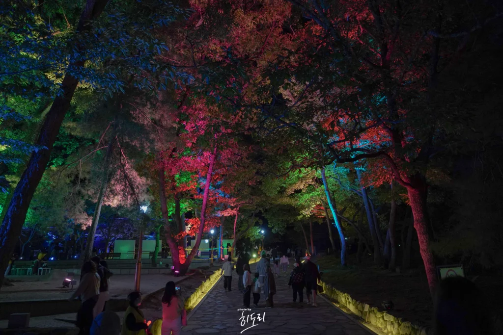 양산 통도사 미디어아트2