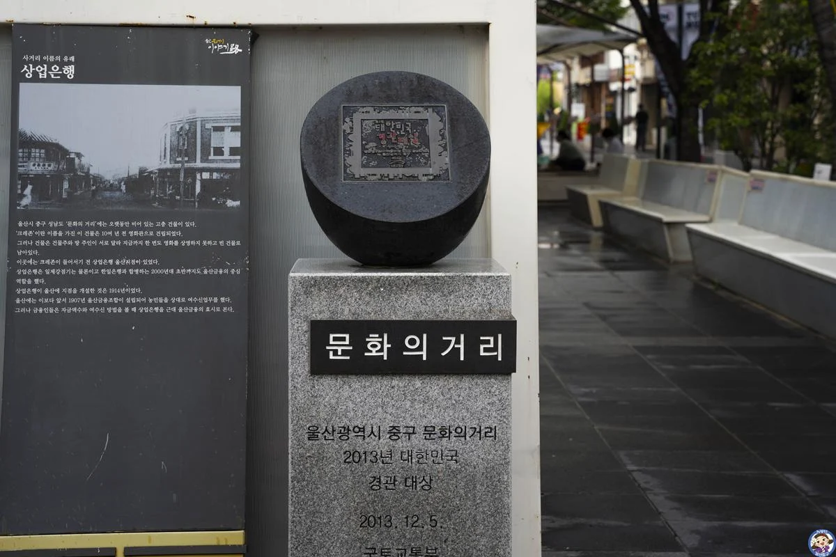 DSC00055-복사.webp