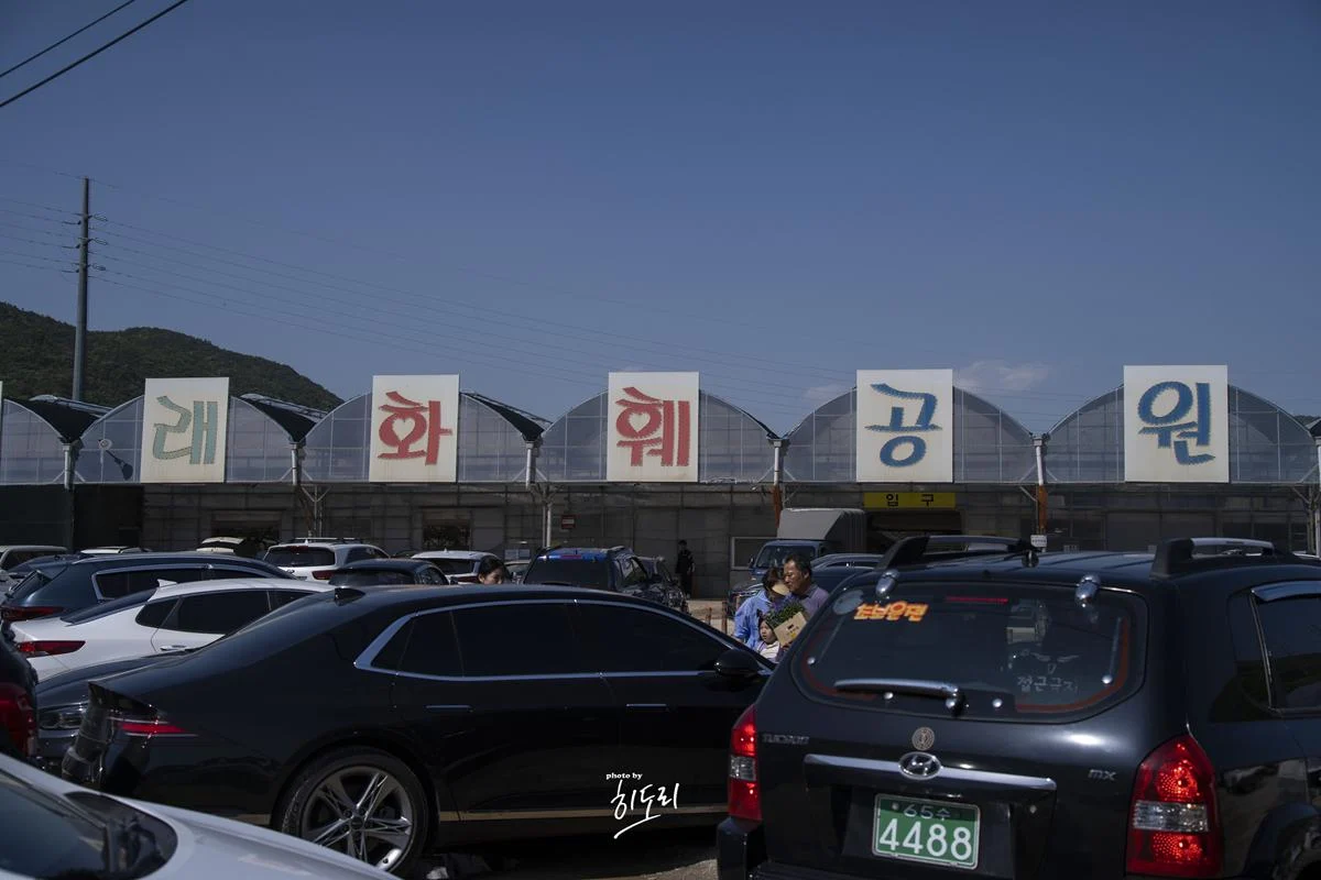 부산 꽃시장 미래화훼단지 – 저렴하게 꽃 구입하러 가보세요~ 부산 꽃시장 미래화훼단지 – 저렴하게 꽃 구입하러 가보세요~