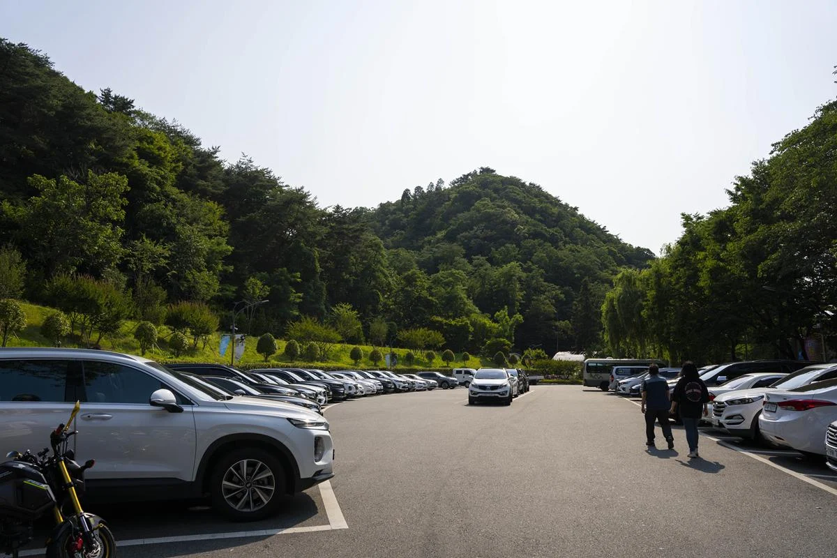 새롭게 단장된 태화강 동굴피아! 이색체험과 아름다운 추억을 만들어 보세요. DSC00058-복사.webp