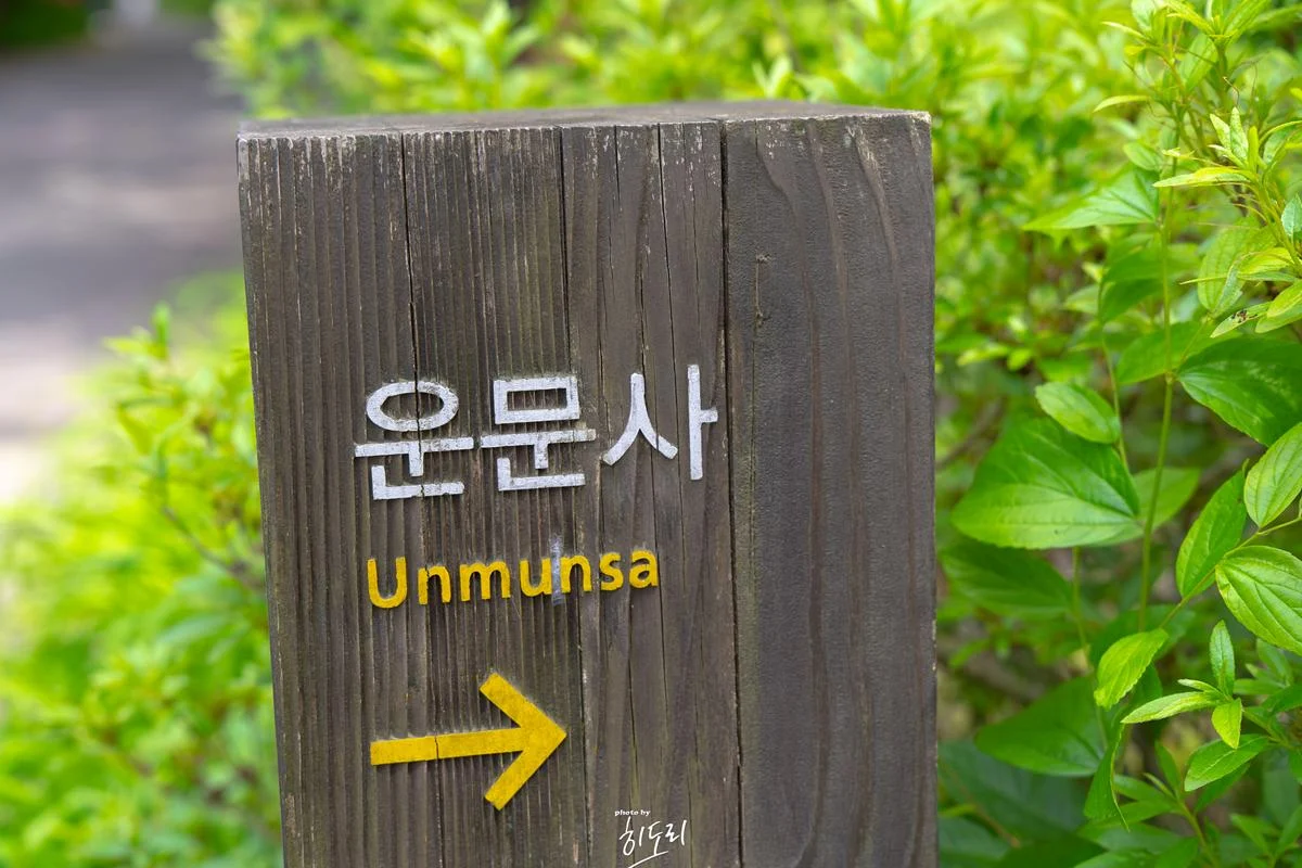 청도 가볼만한곳 - 자연이 멋진 사찰 '운문사' 청도 가볼만한곳 – 자연이 멋진 사찰 ‘운문사’