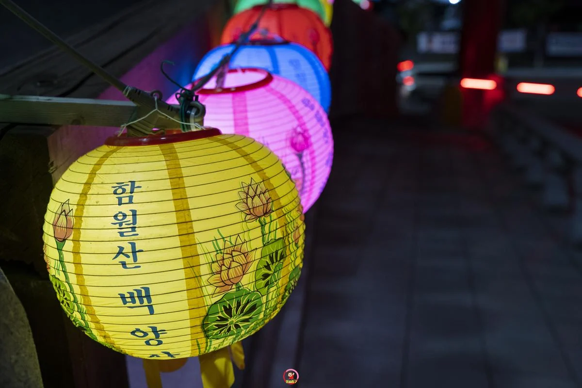 도심속의 아름다운 사찰 ‘함월산 백양사’ 야간 산보